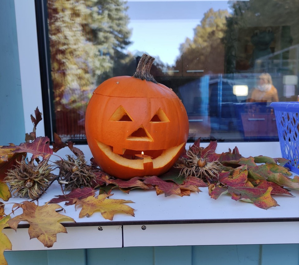 Foto: Gilia Bachmann