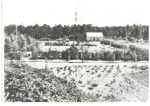 1980: Blick auf den Spielgarten