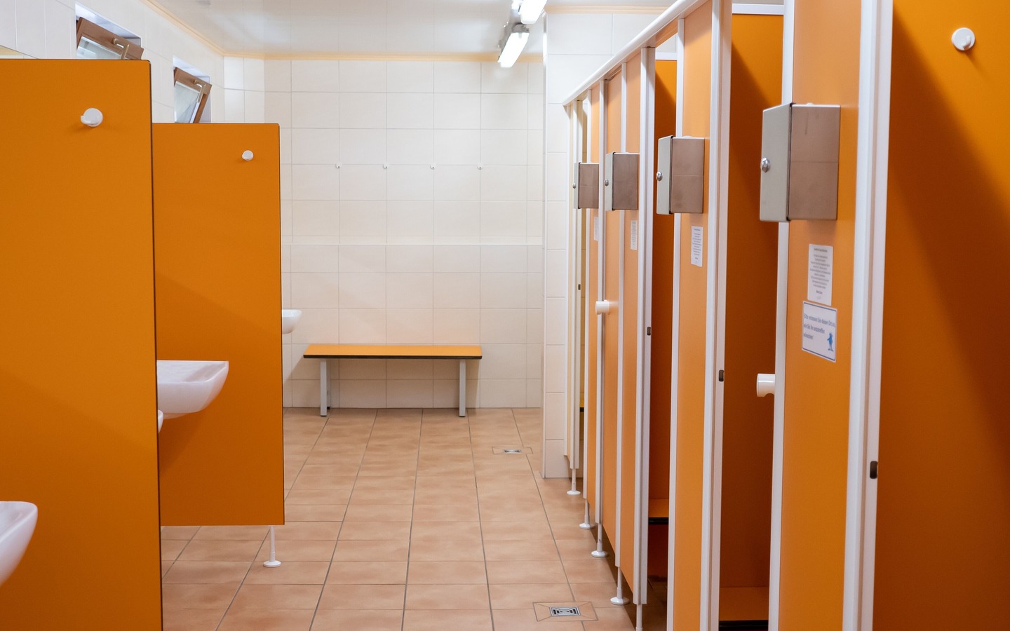 d56ee07d-713f-4728-9392-6737d41d4dde