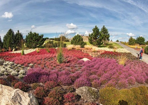 Findlingspark Nochten, Foto: Hans Peter Berwig