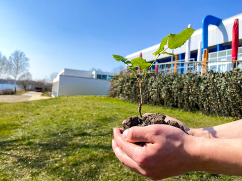 Zimmerreinigung abbestellen, Foto: Julia Kussatz