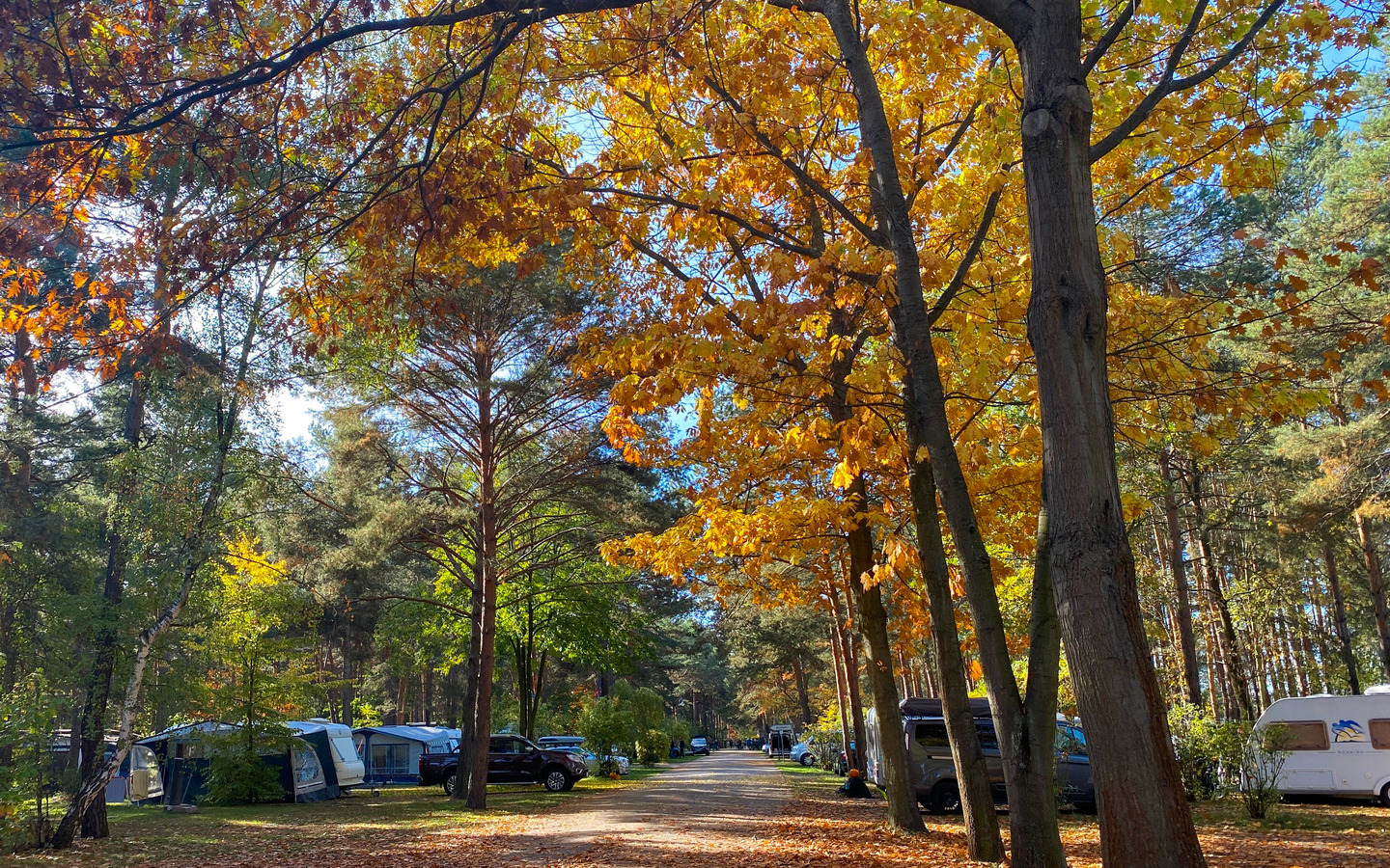 Camping im Familienpark im Herbst, Foto: Julia Kussatz