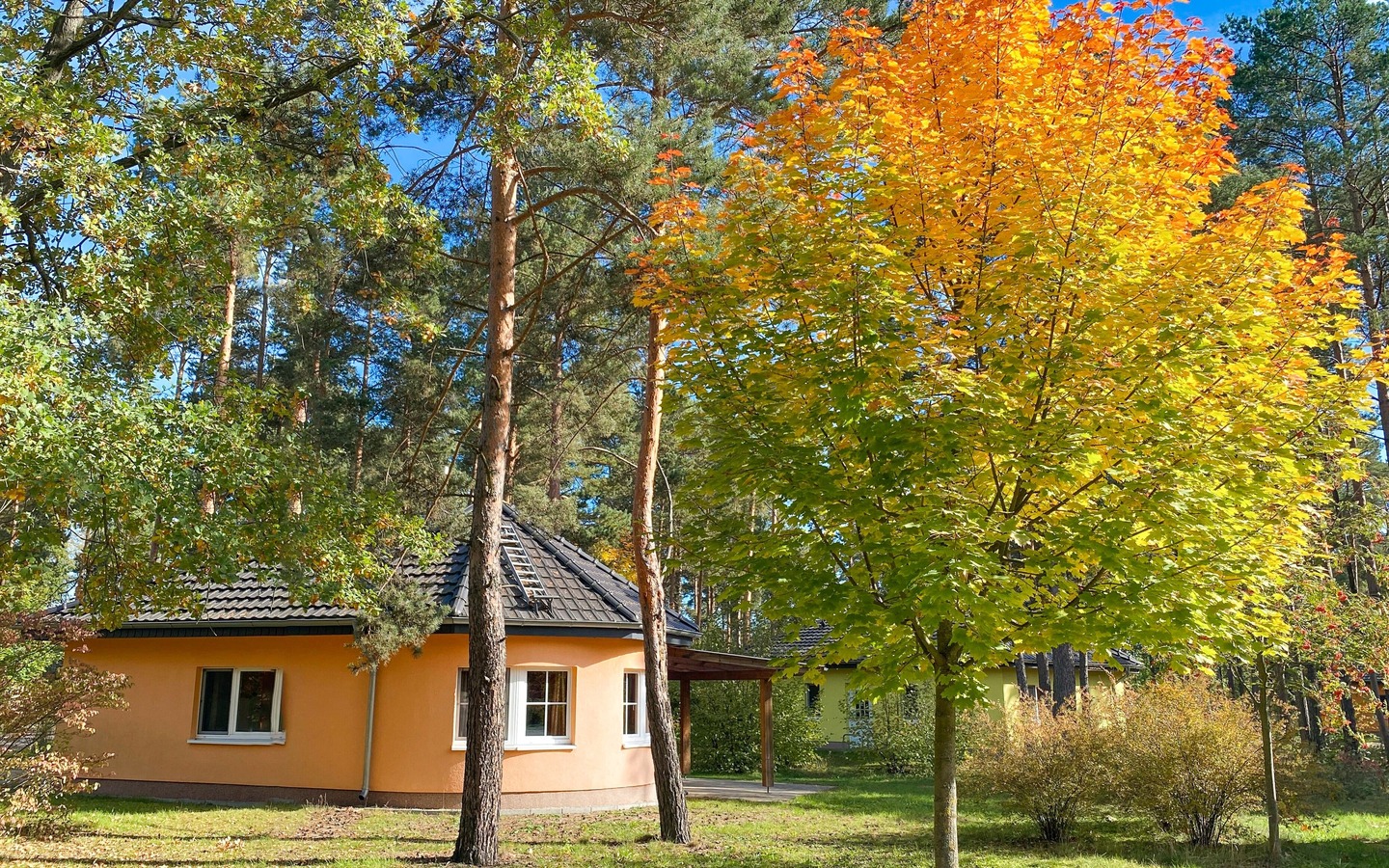 9a3f881c-4a31-4ab5-b8a9-b375ee10034a