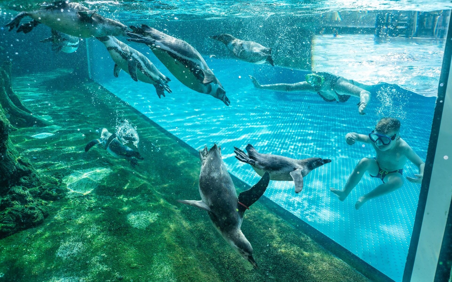 be73888f-ec80-4a31-9465-7781c71fa577