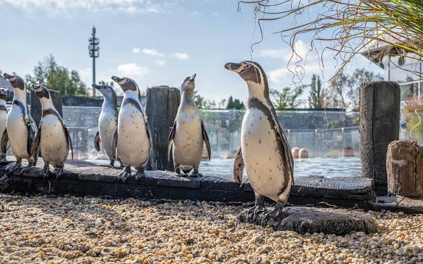 7e59807e-2cbb-47be-a4c4-6bfe86db09a1