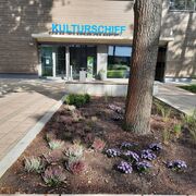 Herbstbepflanzung am Kulturschiff Senftenberger See (3), Foto: LSB