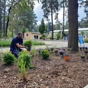 Herbstbepflanzung am Kulturschiff Senftenberger See (2), Foto: LSB