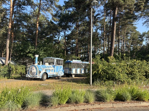 Seeschlange im Familienpark, Foto: Julia Kussatz