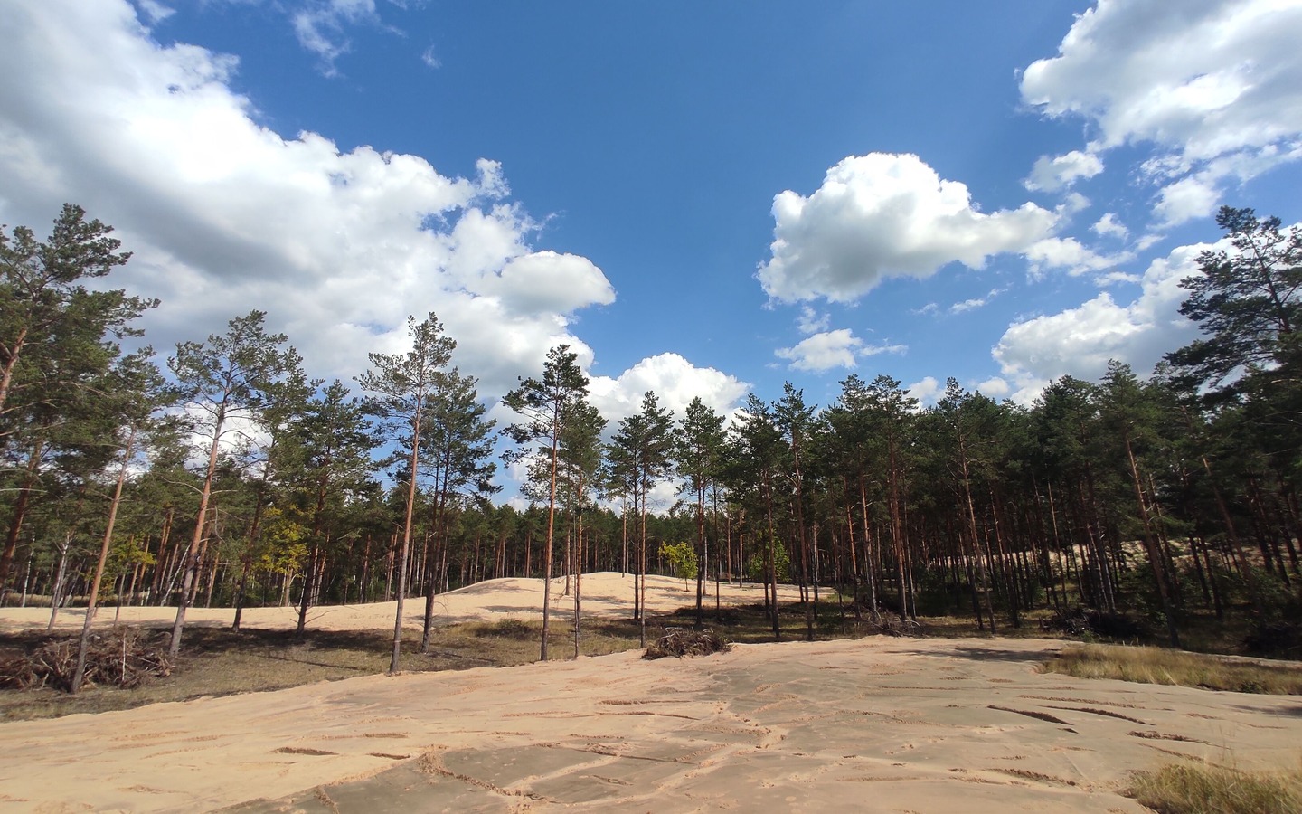 Foto: Janine Ruffer, Lizenz: NaturSchutzFonds
